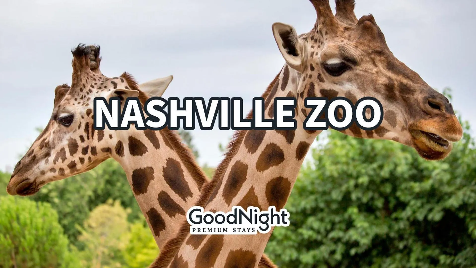 Holiday home Harmony Hideaway - Mins To Broadway - In Music Row Villa Nashville United States